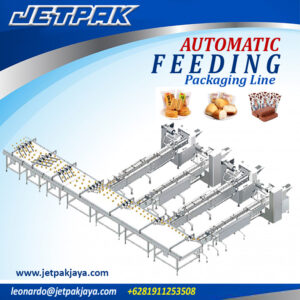AUTOMATIC-FEEDING-PACKAGING-LINE